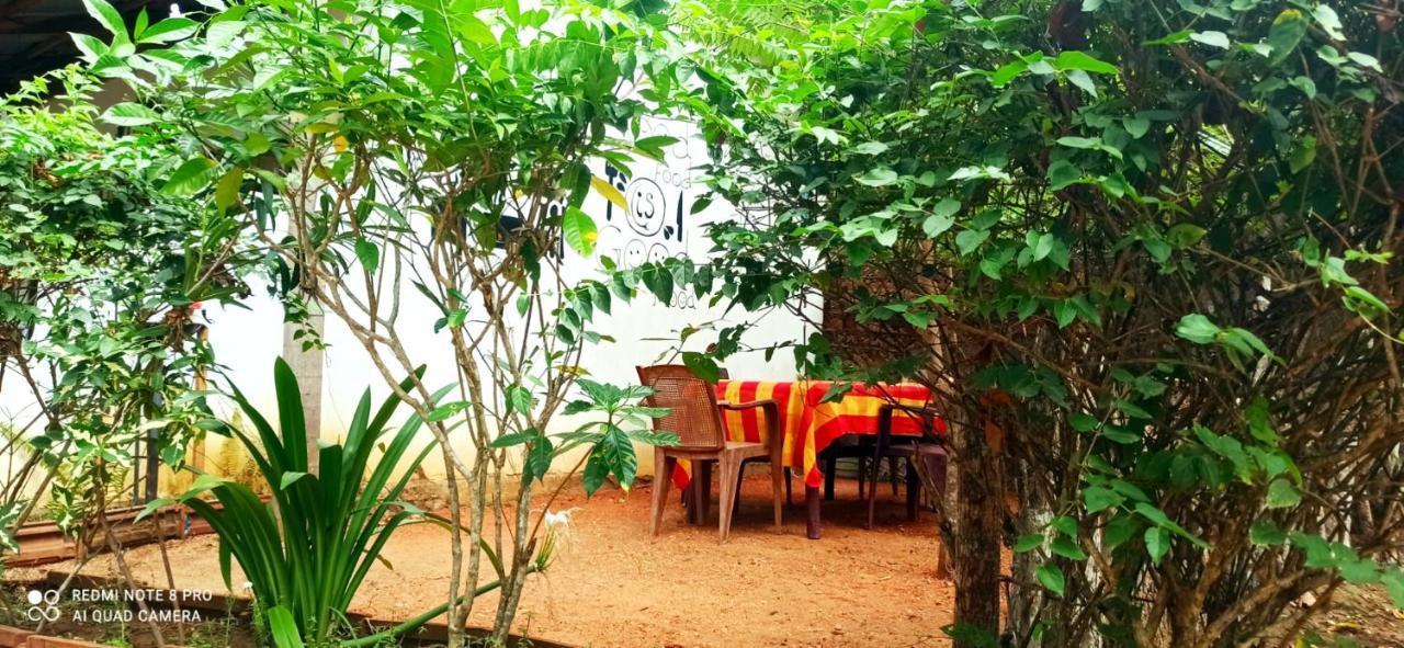 Sigiri Picaso Home Stay Sigiriya Bagian luar foto