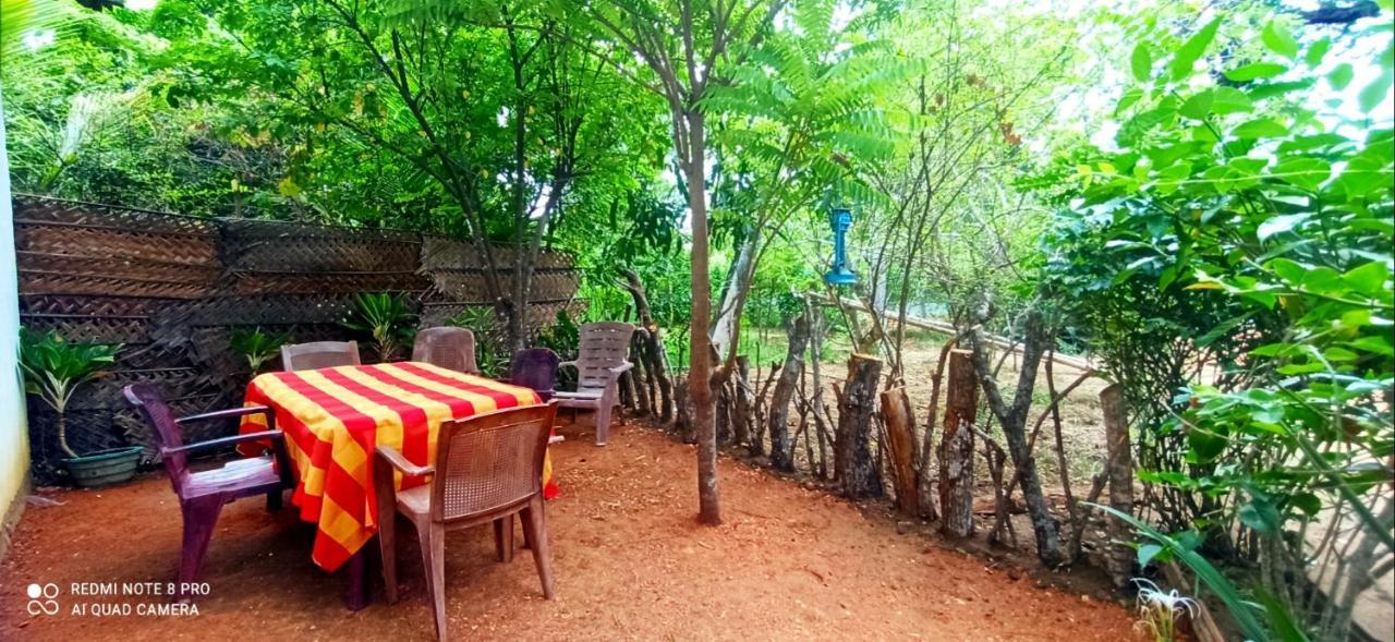 Sigiri Picaso Home Stay Sigiriya Bagian luar foto