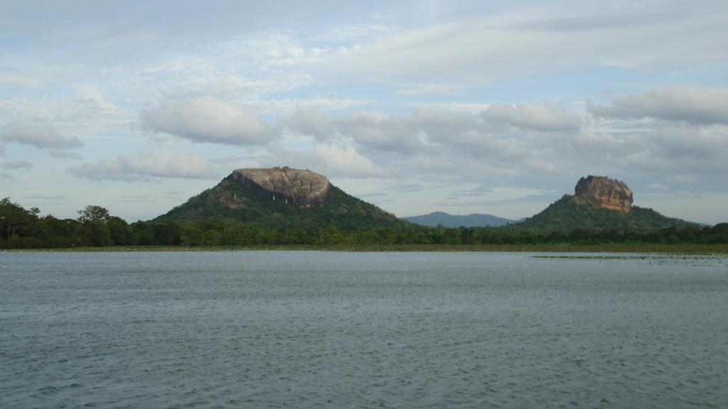 Sigiri Picaso Home Stay Sigiriya Bagian luar foto