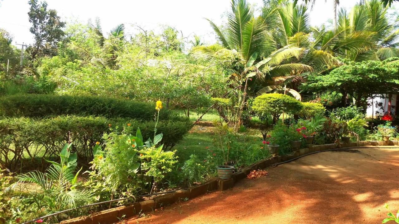 Sigiri Picaso Home Stay Sigiriya Bagian luar foto