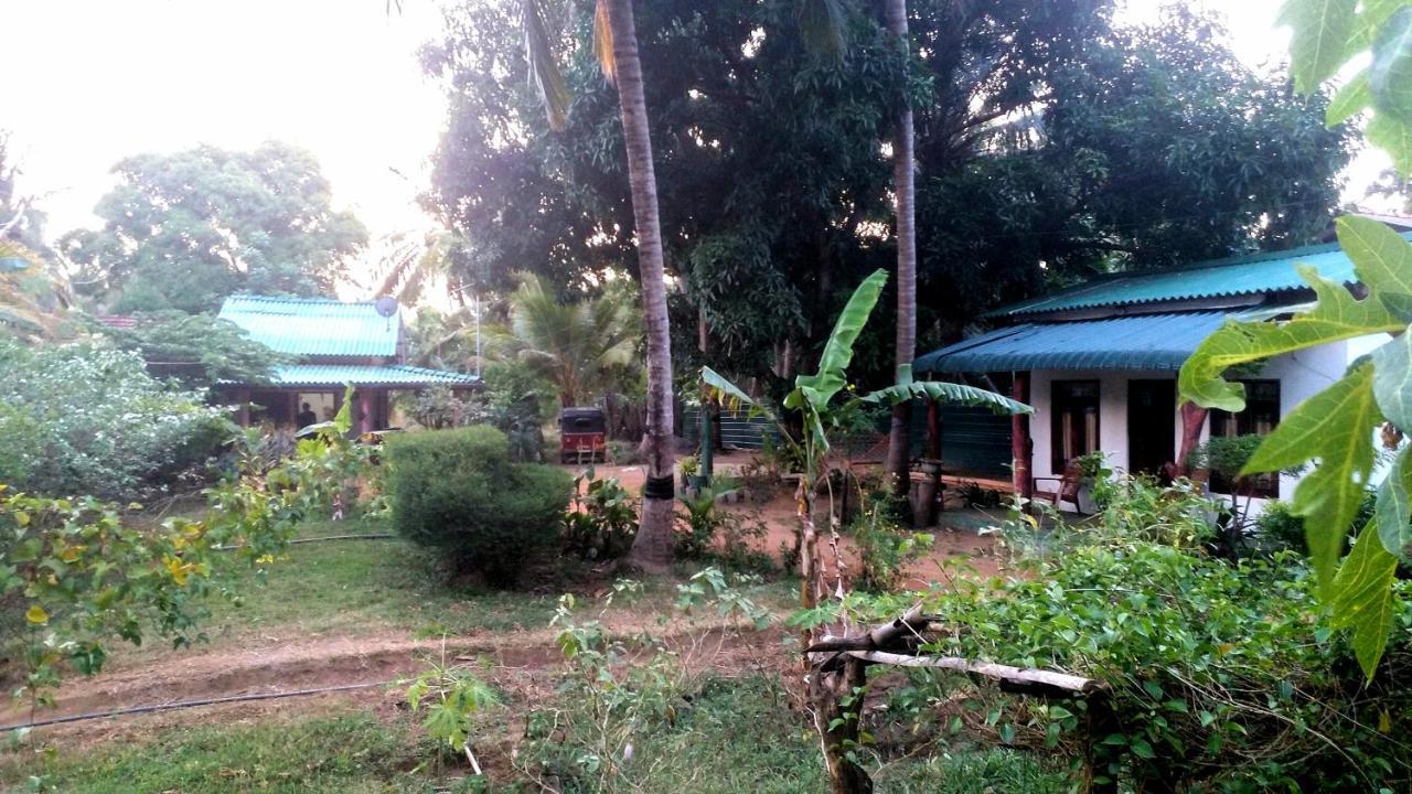 Sigiri Picaso Home Stay Sigiriya Bagian luar foto