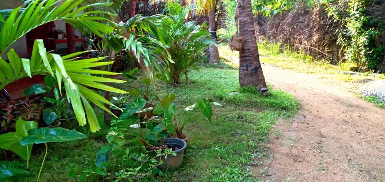 Sigiri Picaso Home Stay Sigiriya Bagian luar foto