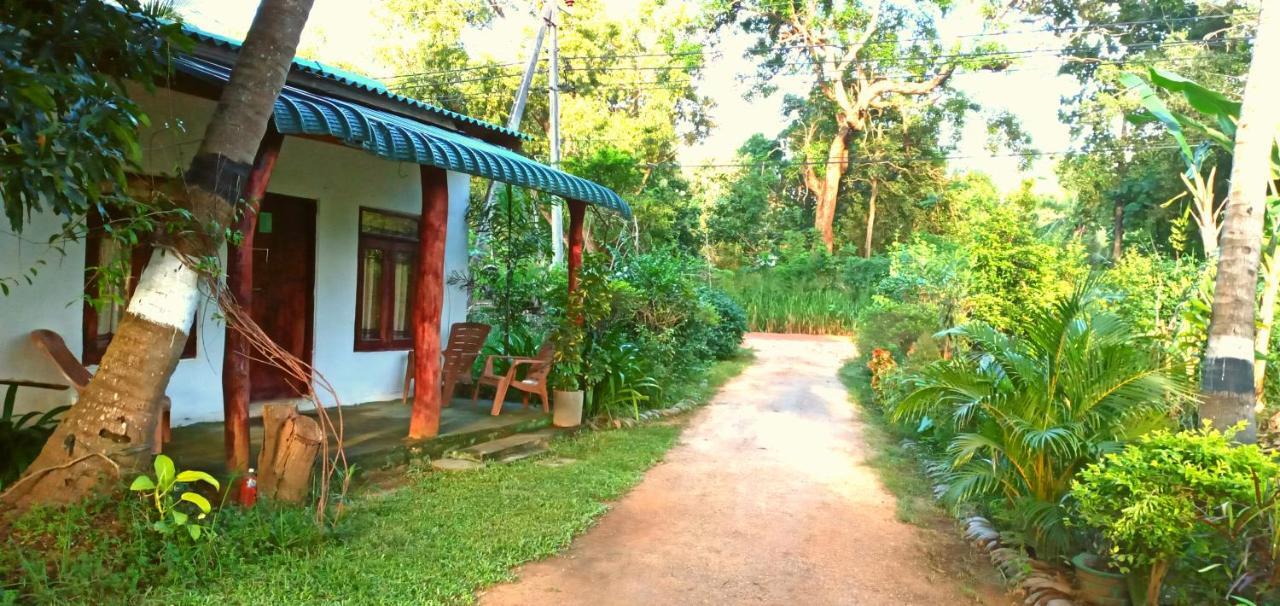 Sigiri Picaso Home Stay Sigiriya Bagian luar foto